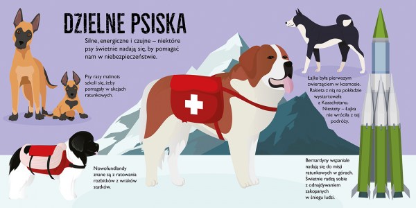 PSY_pop up 10 rozkladowka 2